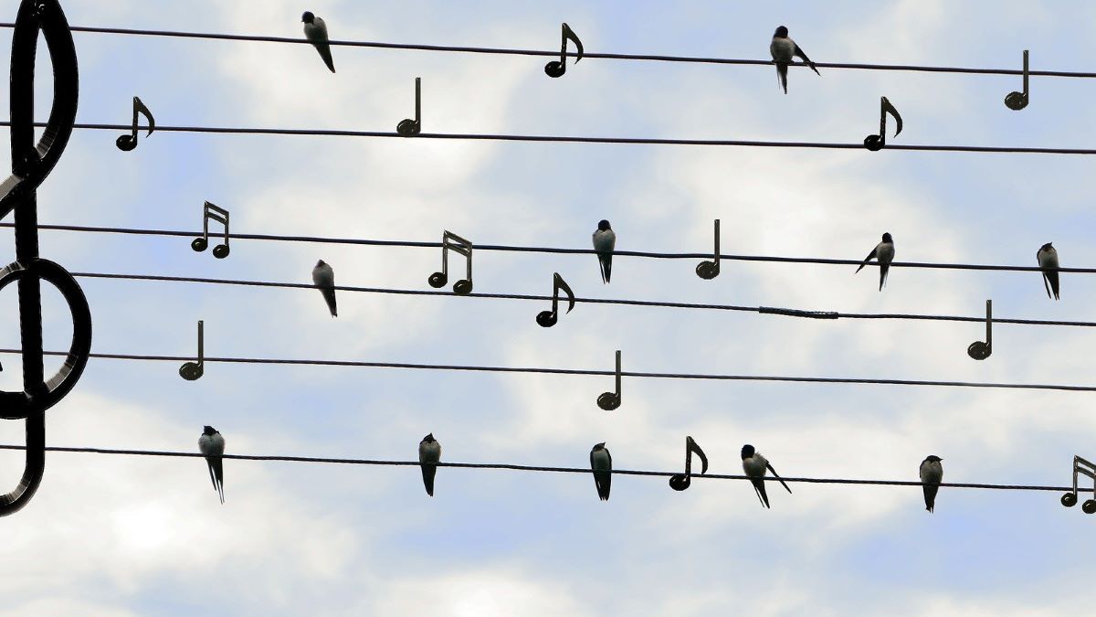 Konzert von Duopigalle im Garten der Villa Wisch